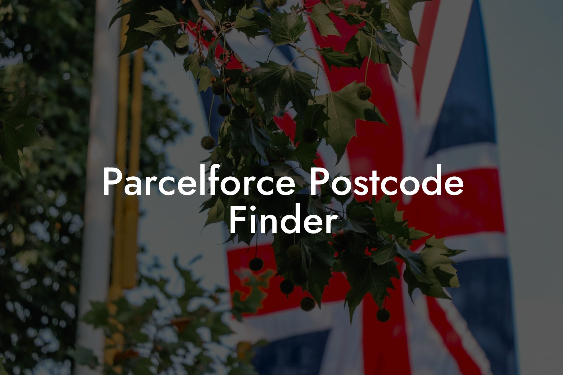 Parcelforce Postcode Finder